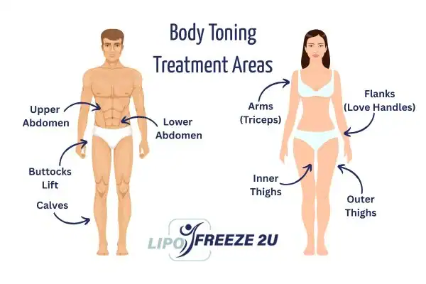 Graphic showing where you can have Body toning Treatment Holmes Chapel on your body